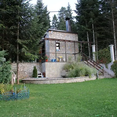Nisici * Jelik